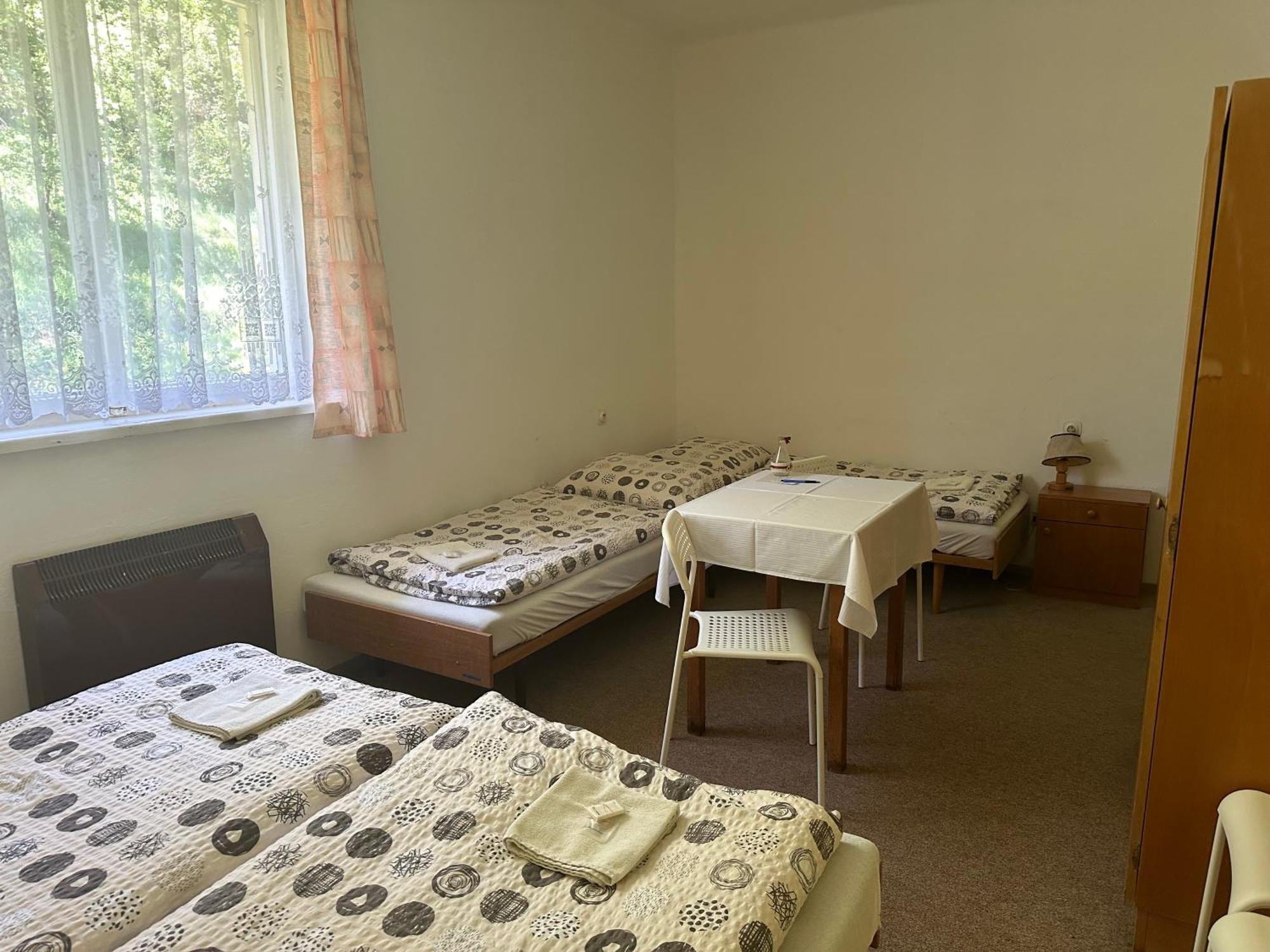 Pension Palla Svojanov  Экстерьер фото